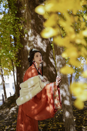 寻找前世之旅漫画全集