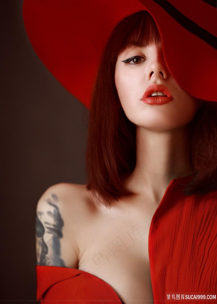 王申白沽高校长免费阅读