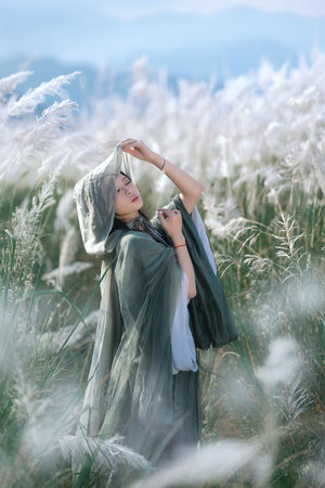 overflow樱花翻译