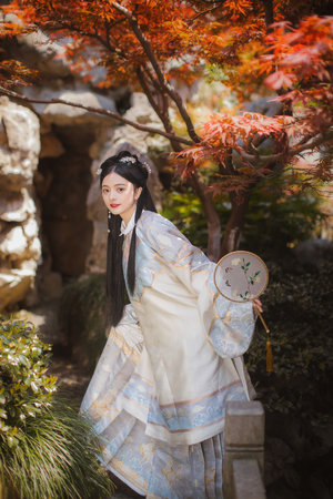 独生子电视剧全集36集