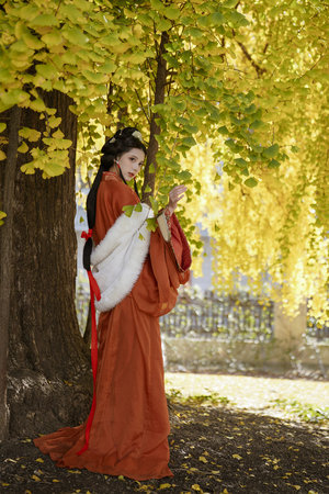 姐姐的朋友1有翻译