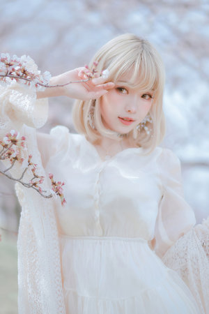 血色樱花电视剧免费播放