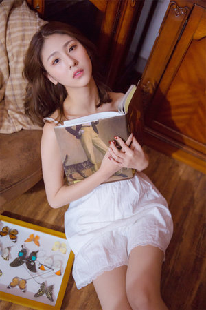 香港电影蝴蝶国语版