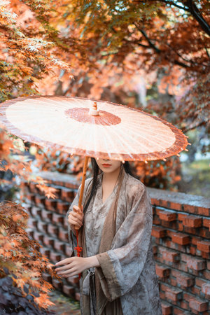 无敌县令分集介绍