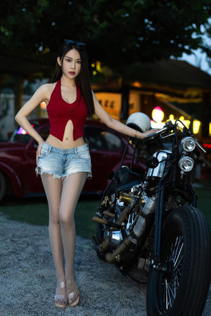 MLP背景小马可爱标志