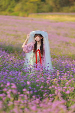 欧美全部视频+成年人