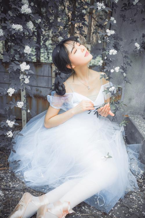 国产高清在线精品一区αpp