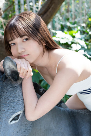 墨宝非宝全部小说作品